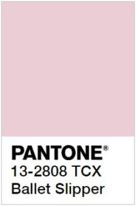 Pantone Балетная туфелька