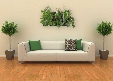 Новый тренд: цветы в интерьере. Как и где их применить?