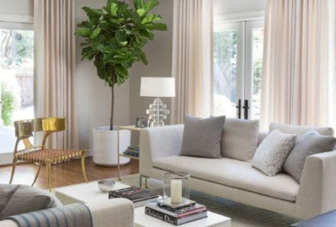 Как эволюционируют вчерашние тренды