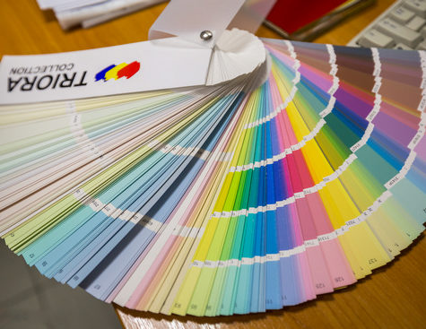 ТОП-6 самых модных цветов из каталога TRIORA