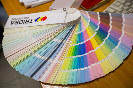 ТОП-6 самых модных цветов из каталога TRIORA