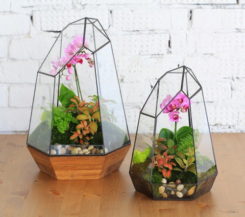 Орхидариум: новый экзотический тренд для вашего интерьера